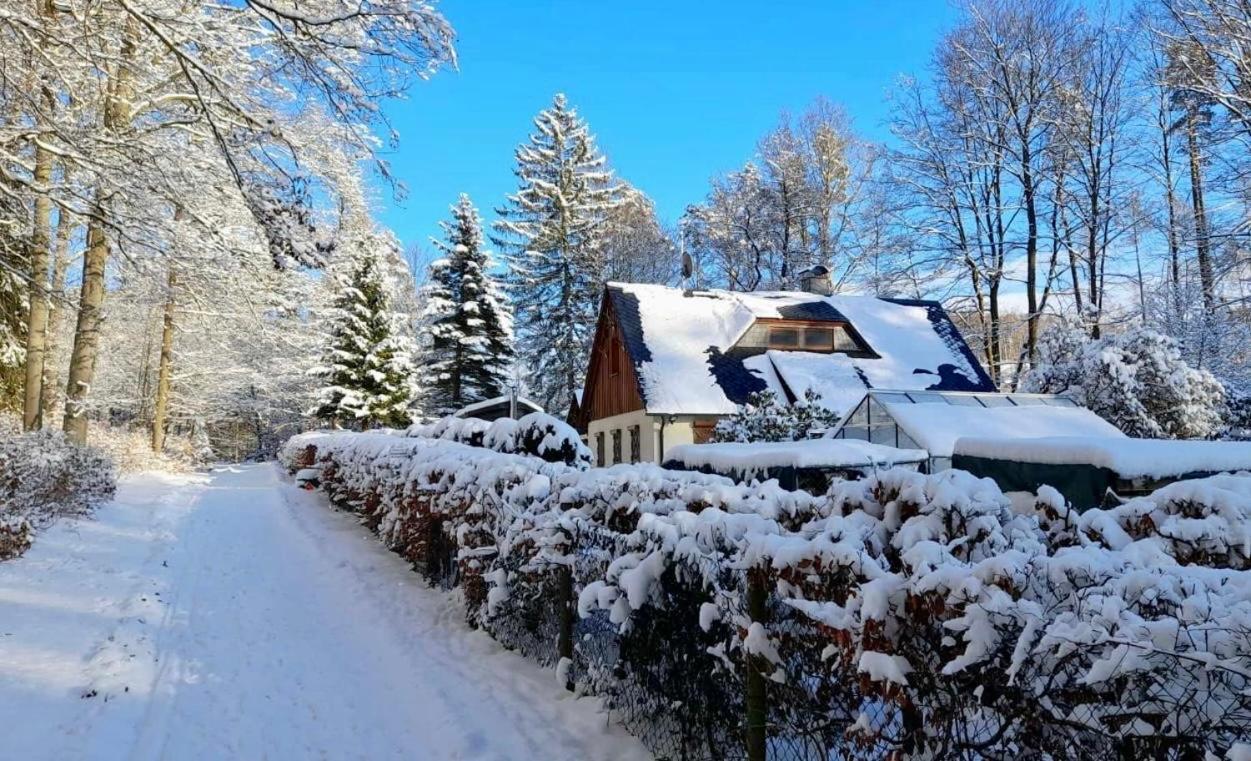 Ferienhaus Jaegerhaus Oppach Privathaus ภายนอก รูปภาพ