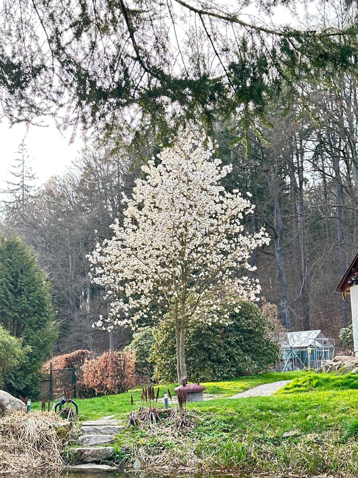 Ferienhaus Jaegerhaus Oppach Privathaus ภายนอก รูปภาพ